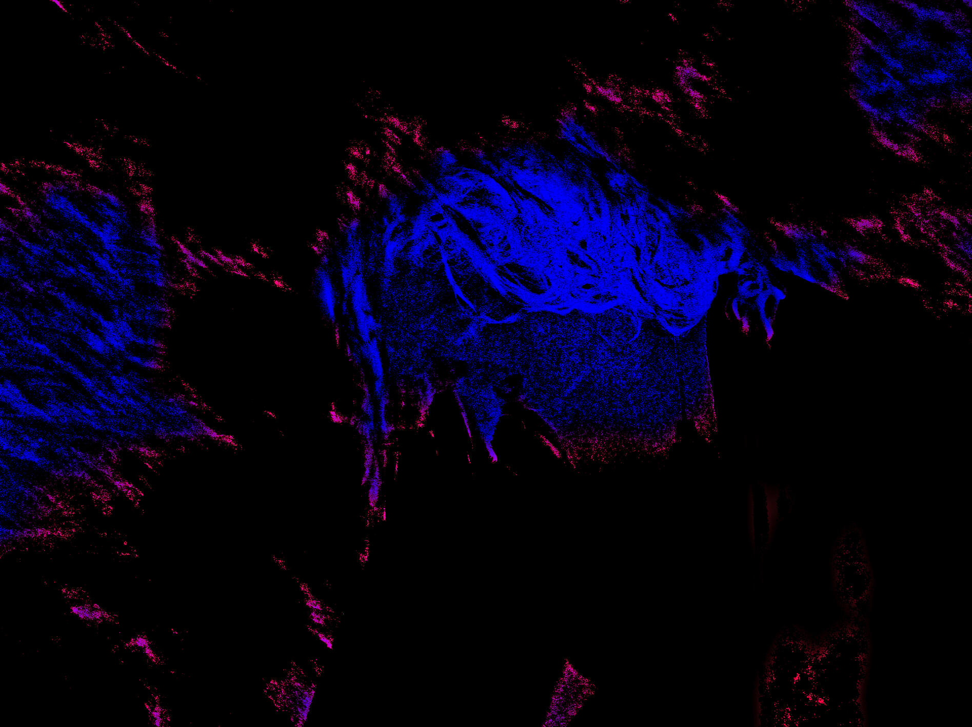 LEX III Visage céleste
