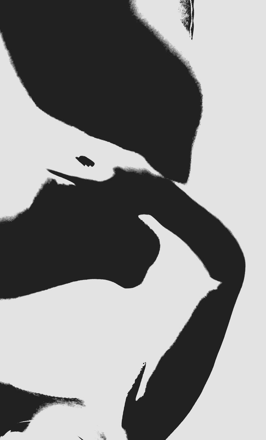 LEX IX Prism B&W